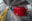 Motorisation direct drive