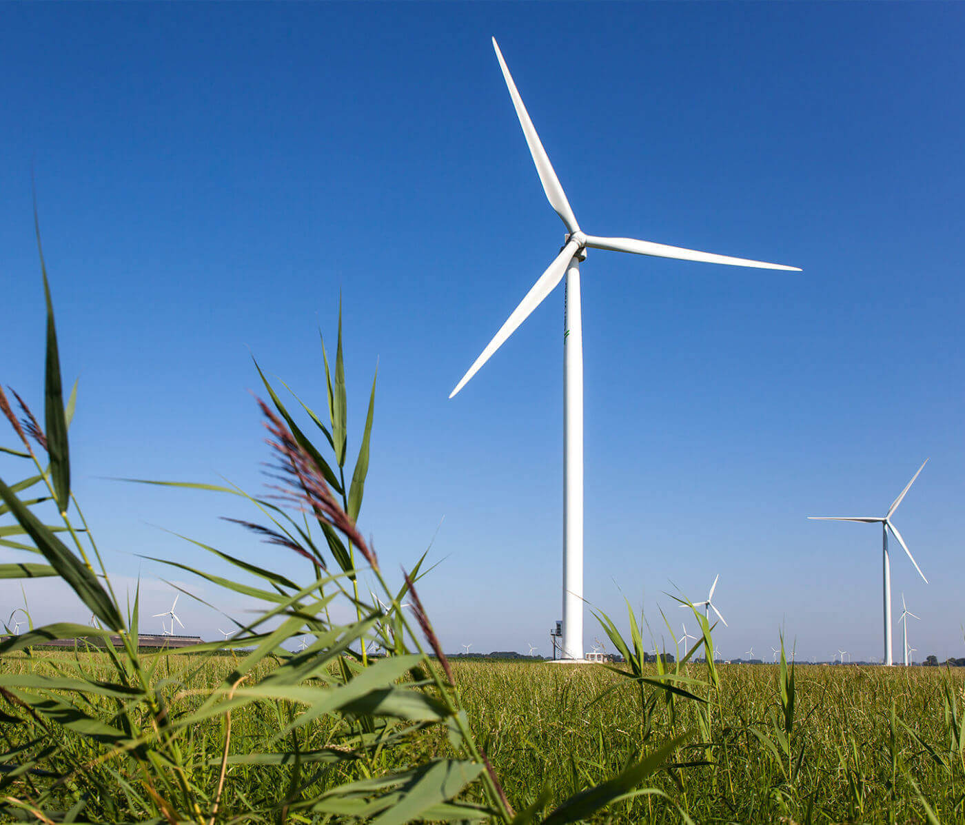 Petit éolien, grands soucis - Renouvelle