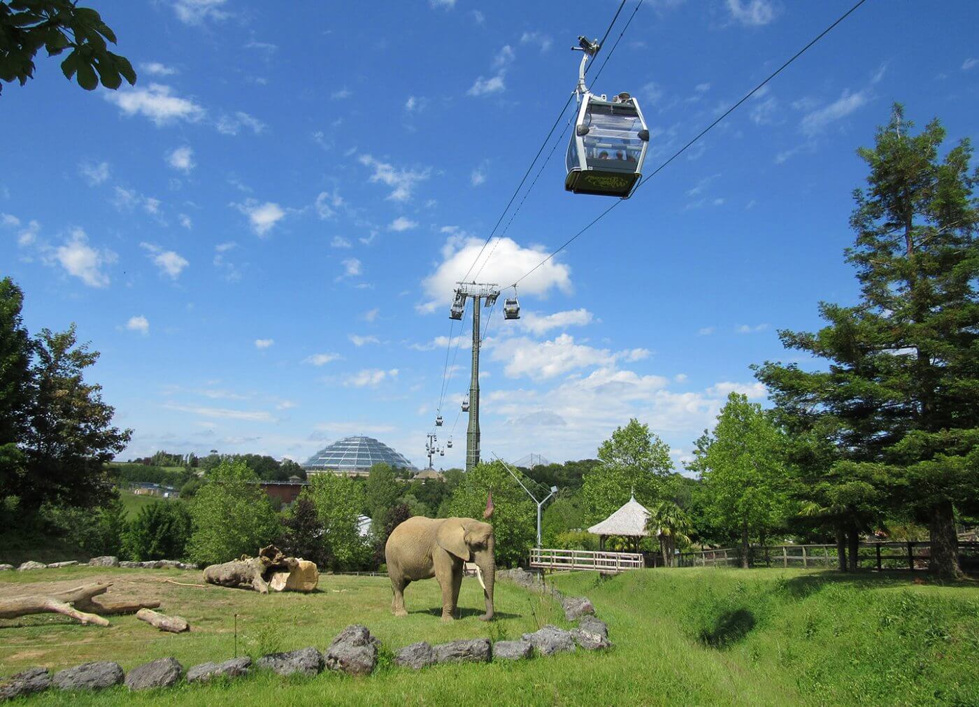 Nuage de Beauval la télécabine du Zooparc réalisé par POMA