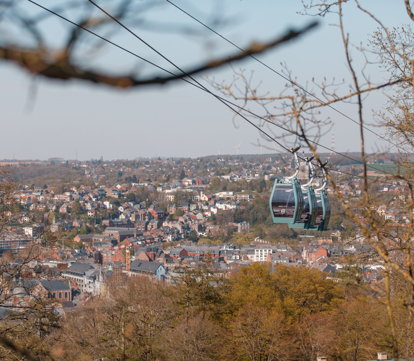 Zoomed Image 8